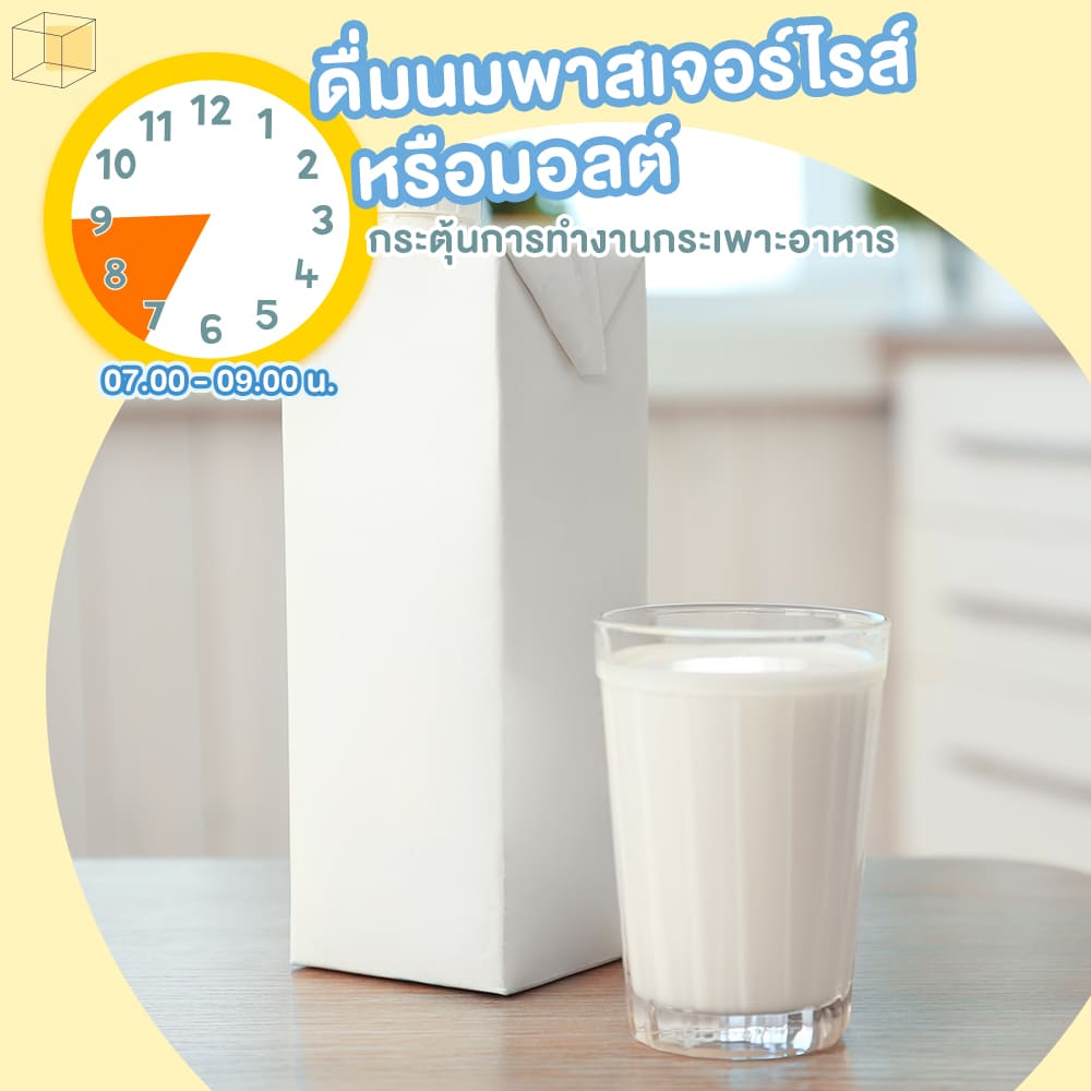 ดื่มนมตามนาฬิกาชีวิต