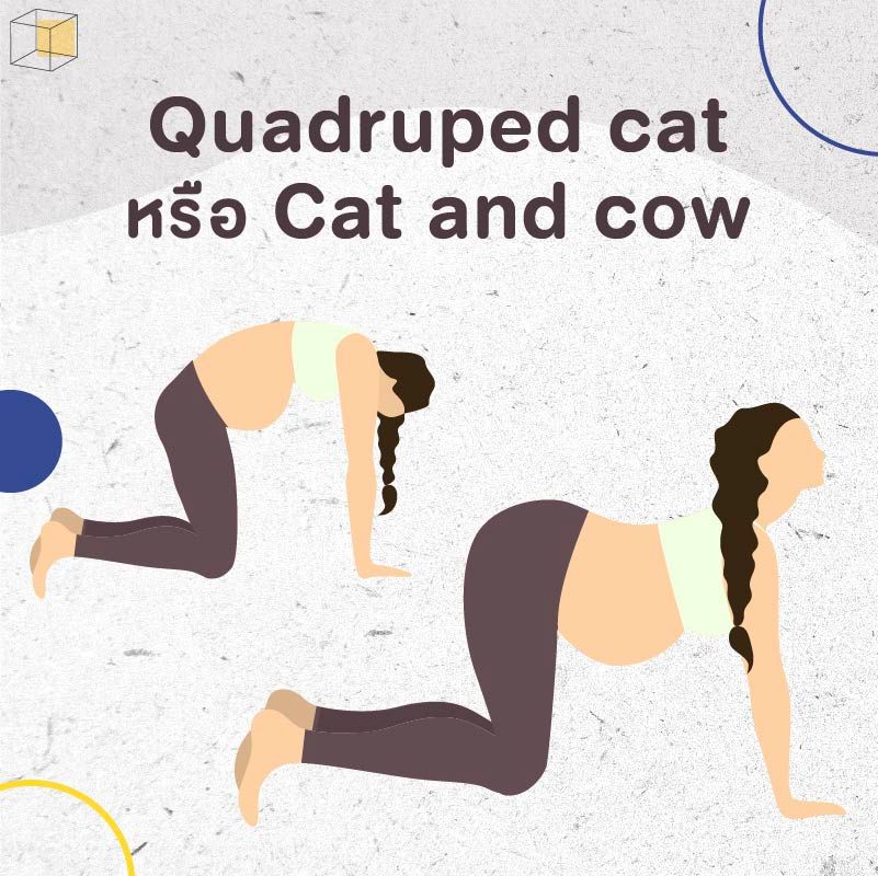 ท่าออกกำลังกายคนท้อง “Quadruped cat”
