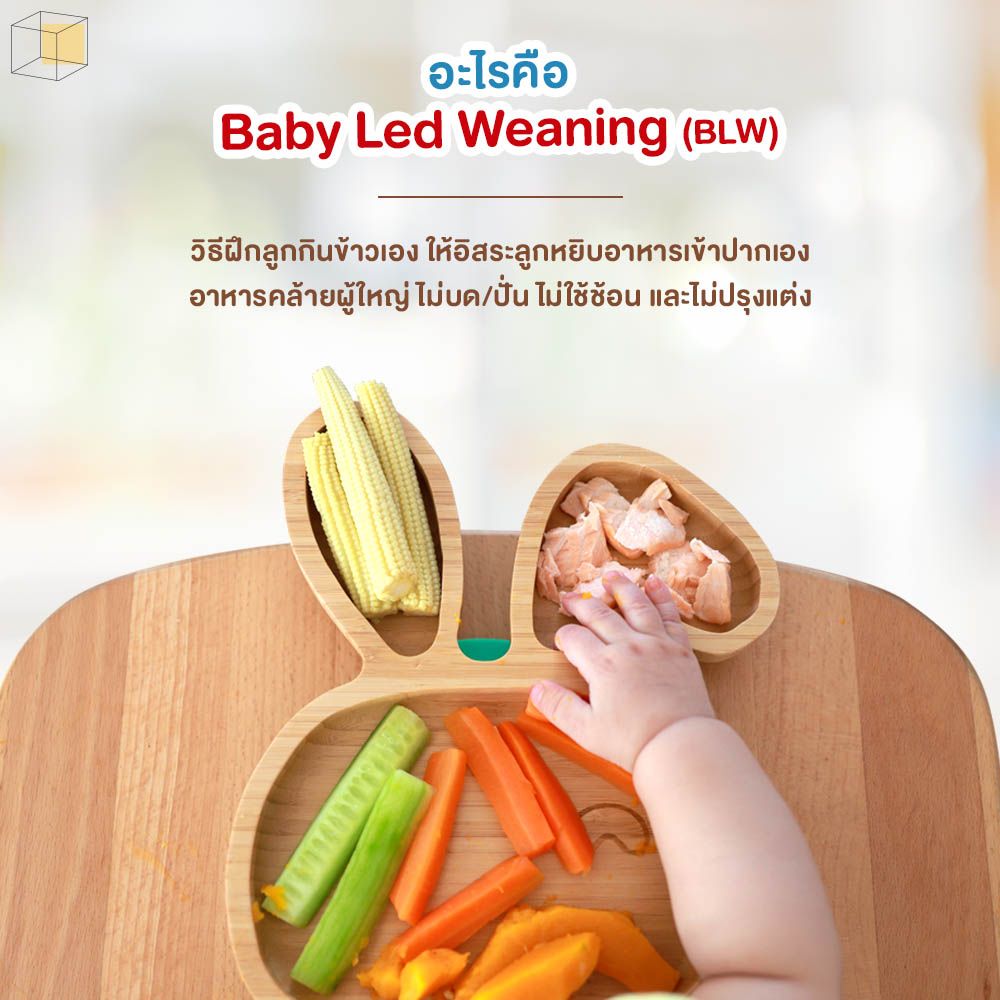 Baby Led Weaning (BLW) คืออะไร