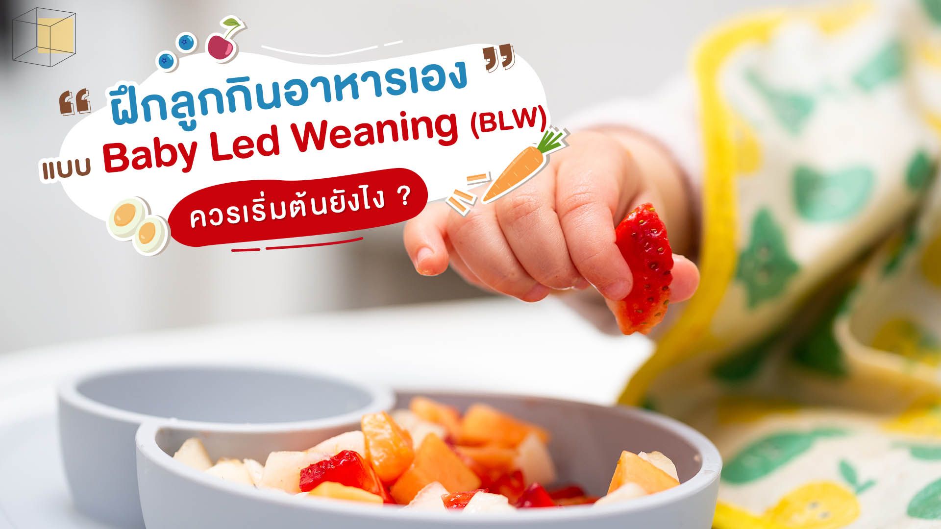 Baby Led Weaning (BLW) วิธีฝึกลูกกินข้าวเองให้เป็น