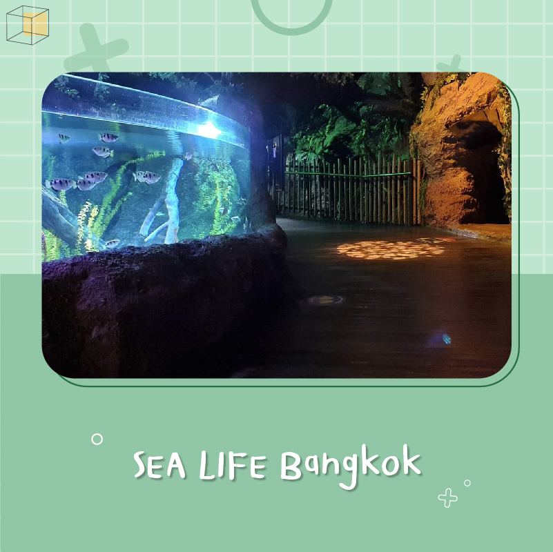 พาลูกเที่ยว SEA LIFE Bangkok