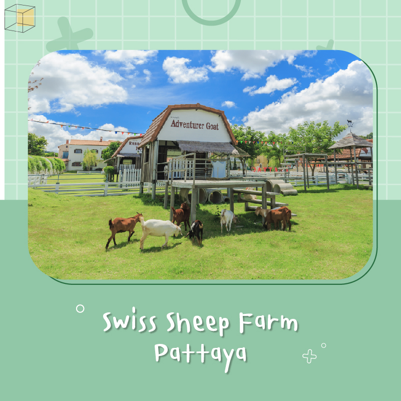 พาลูกเที่ยว Swiss Sheep Farm Pattaya