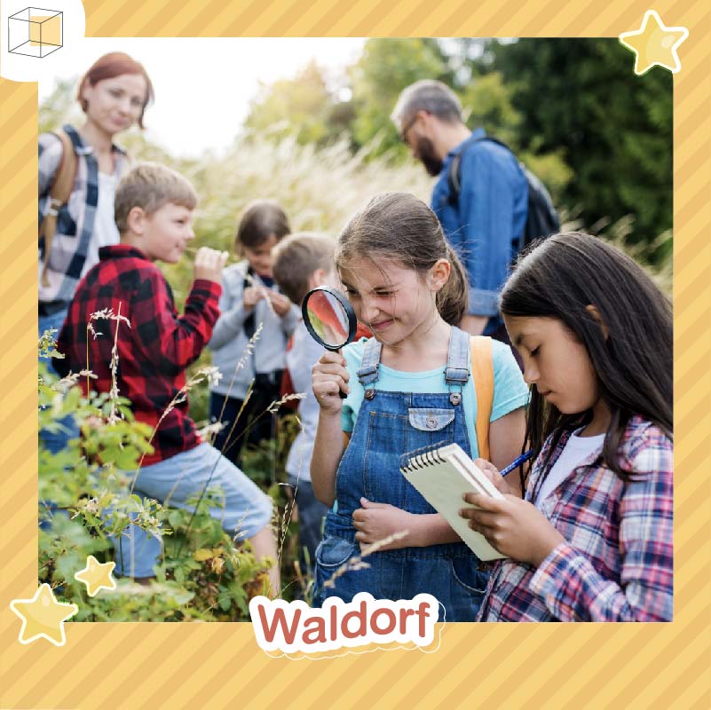 โรงเรียนทางเลือก วอลดอร์ฟ (Waldorf)