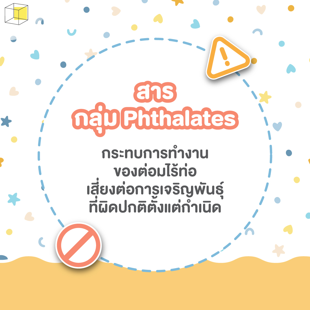 เครื่องสำอางคนท้อง ห้ามใช้ ทาเลต