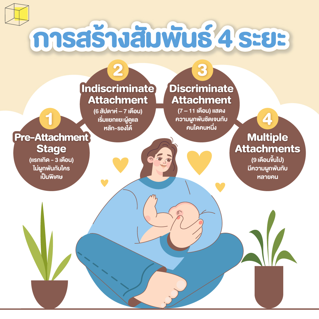 ขั้นตอน Attachment Theory