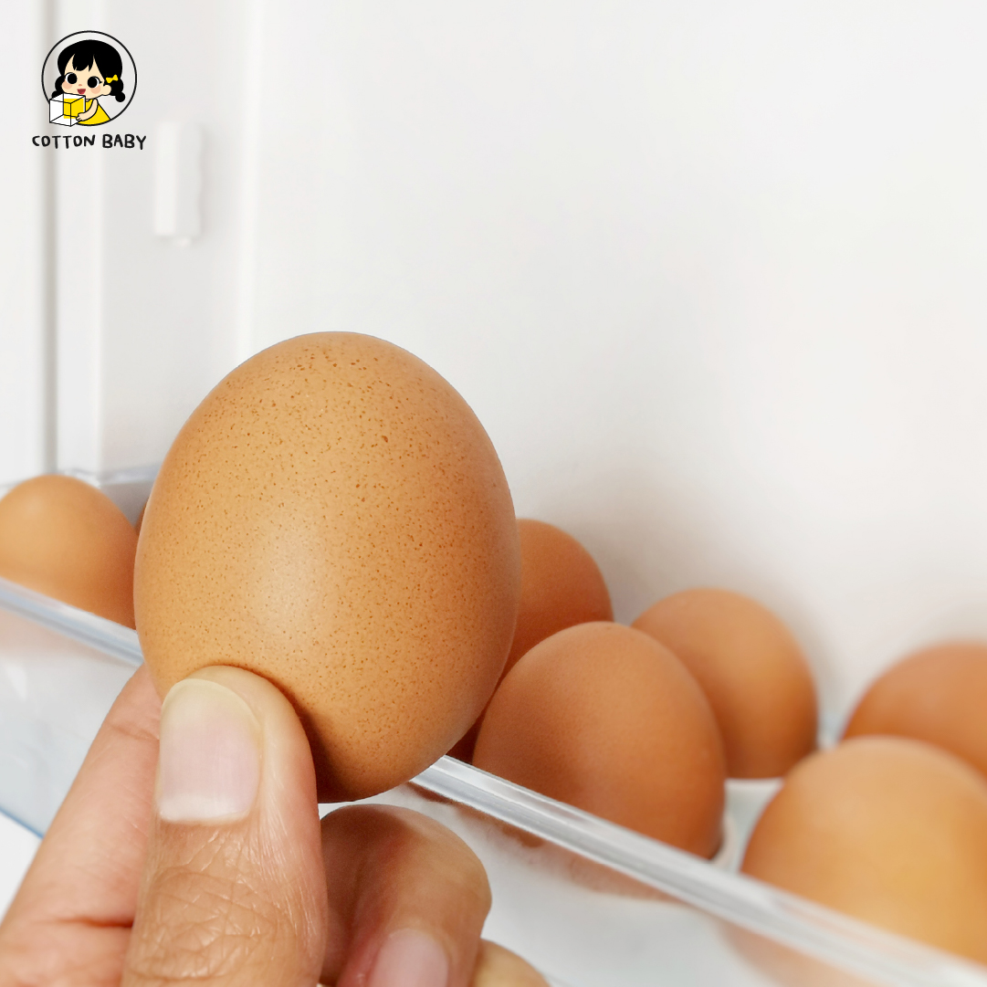 ไข่ต้มสุก อาหารห้ามแช่ตู้เย็นนาน